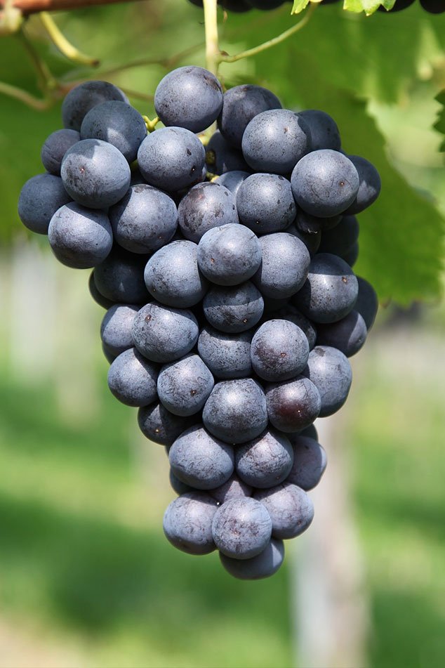 Image 02 1